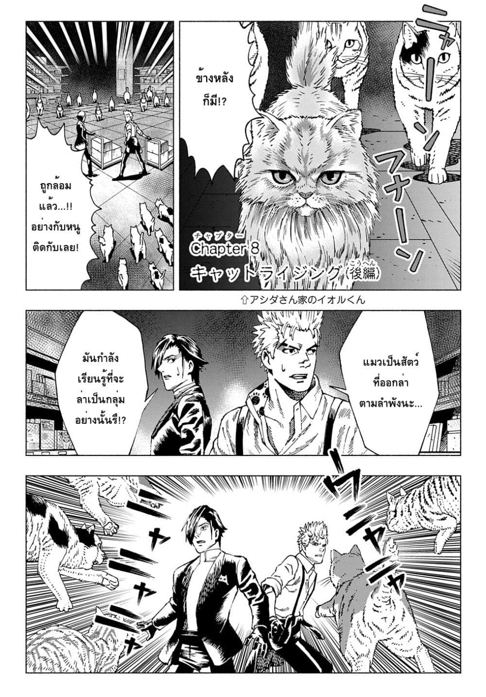 Nyaight of the Living Cat ตอนที่ 8.3 (1)