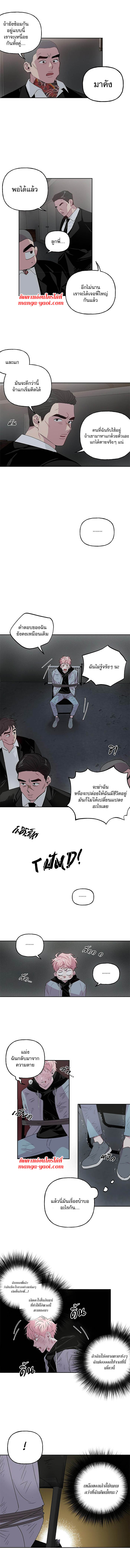 Assorted Wildness ตอนที่2 (3)