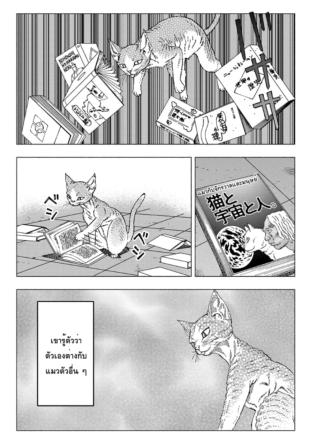 Nyaight of the Living Cat ตอนที่ 9.1 (7)