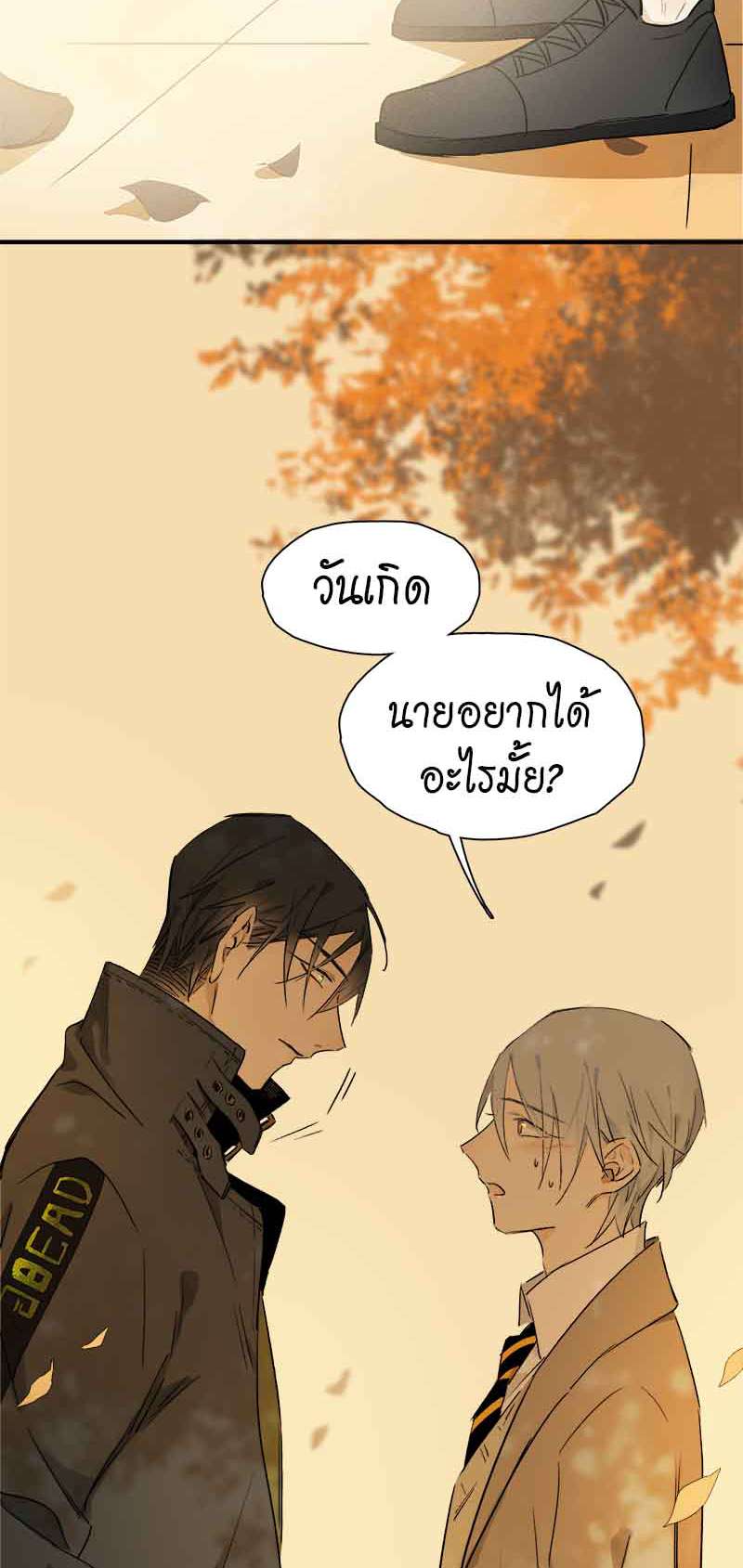 กฎรักแห่งออกัส35 29