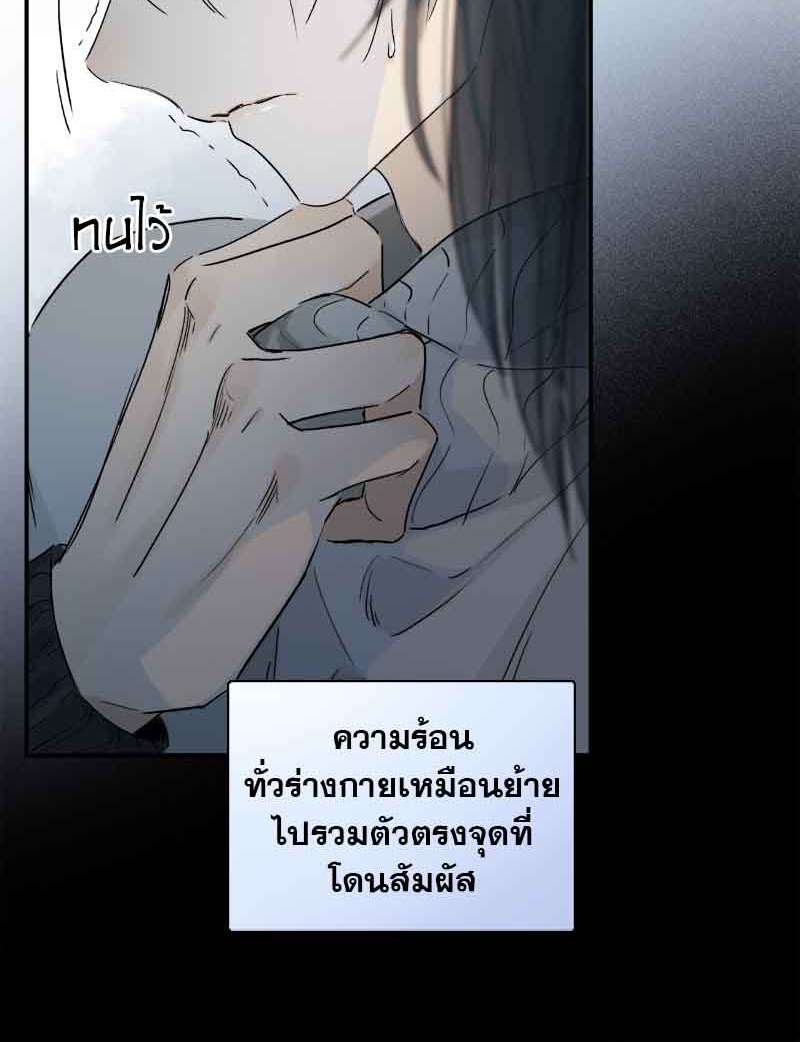 กฎรักแห่งออกัส43 19