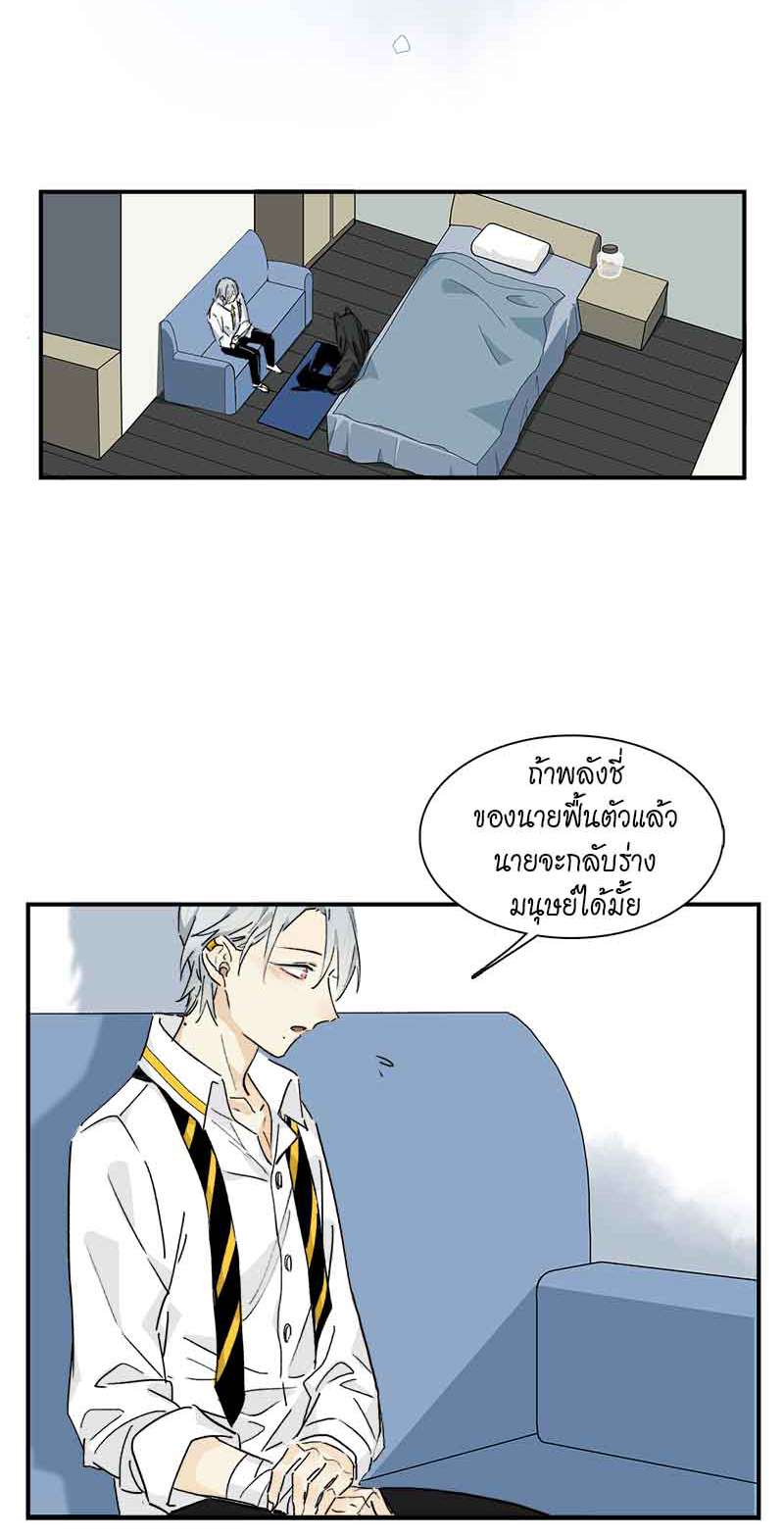 กฎรักแห่งออกัส29 06