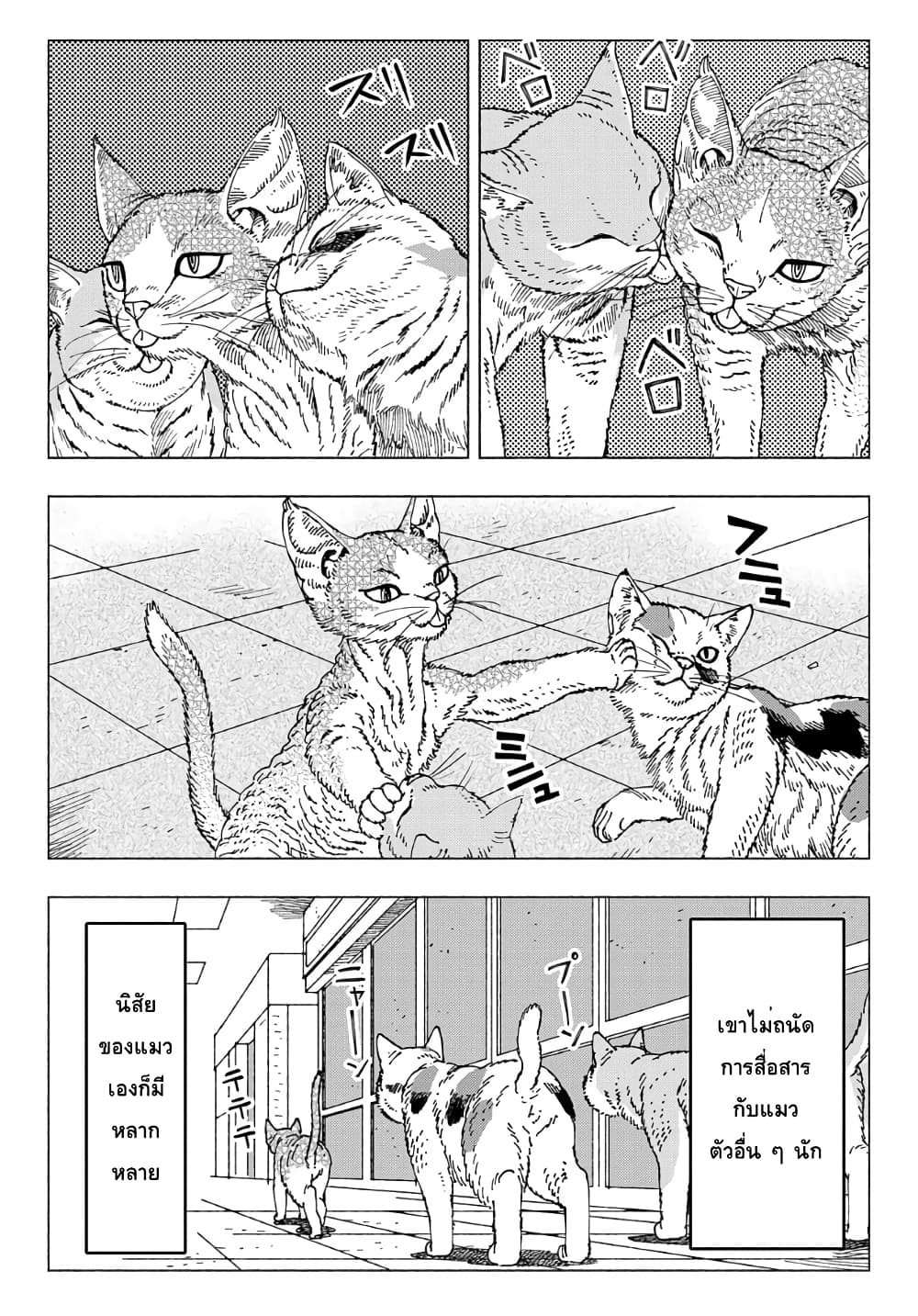 Nyaight of the Living Cat ตอนที่ 9.1 (4)