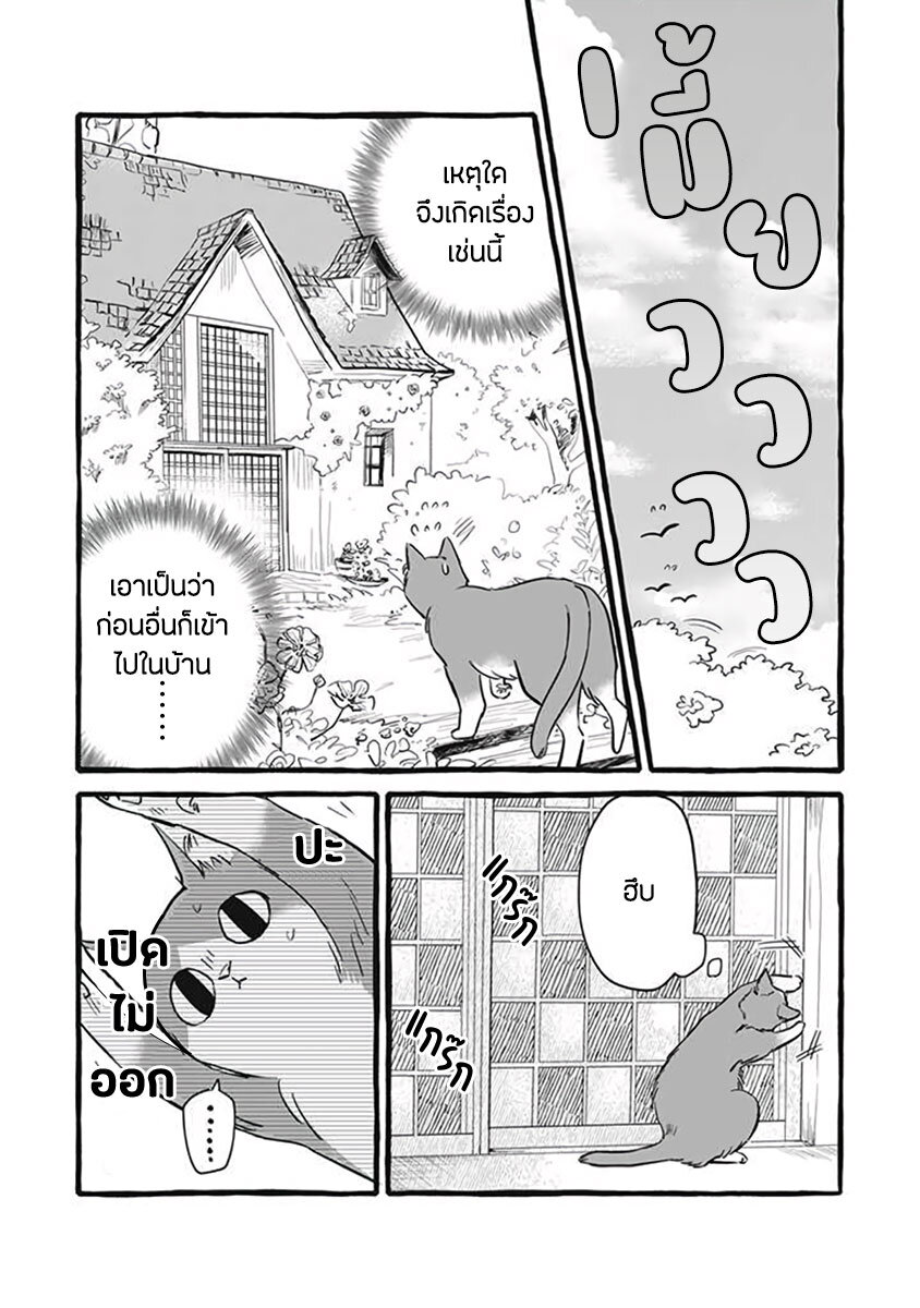 Einen Koyou wa Kanou 10 (16)